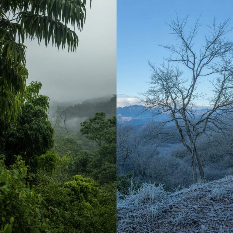 How I Keep My Skin Balanced When the Weather Starts Acting Up